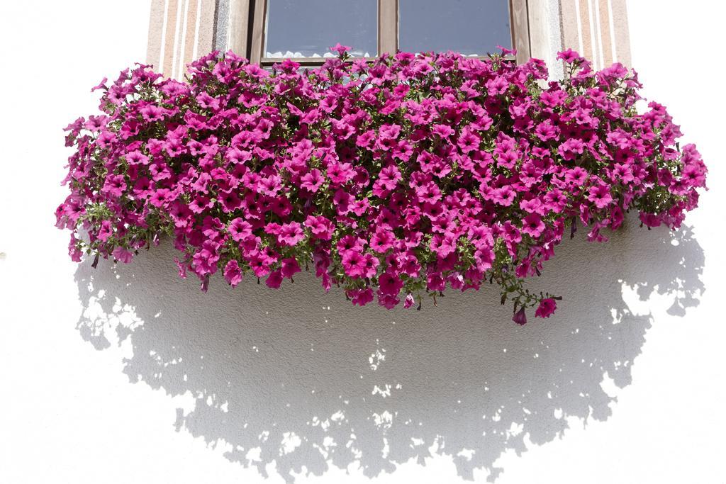 Hotel Gasthof Neuner อิมสท์ ภายนอก รูปภาพ
